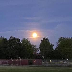 Meet your Posher, Patty